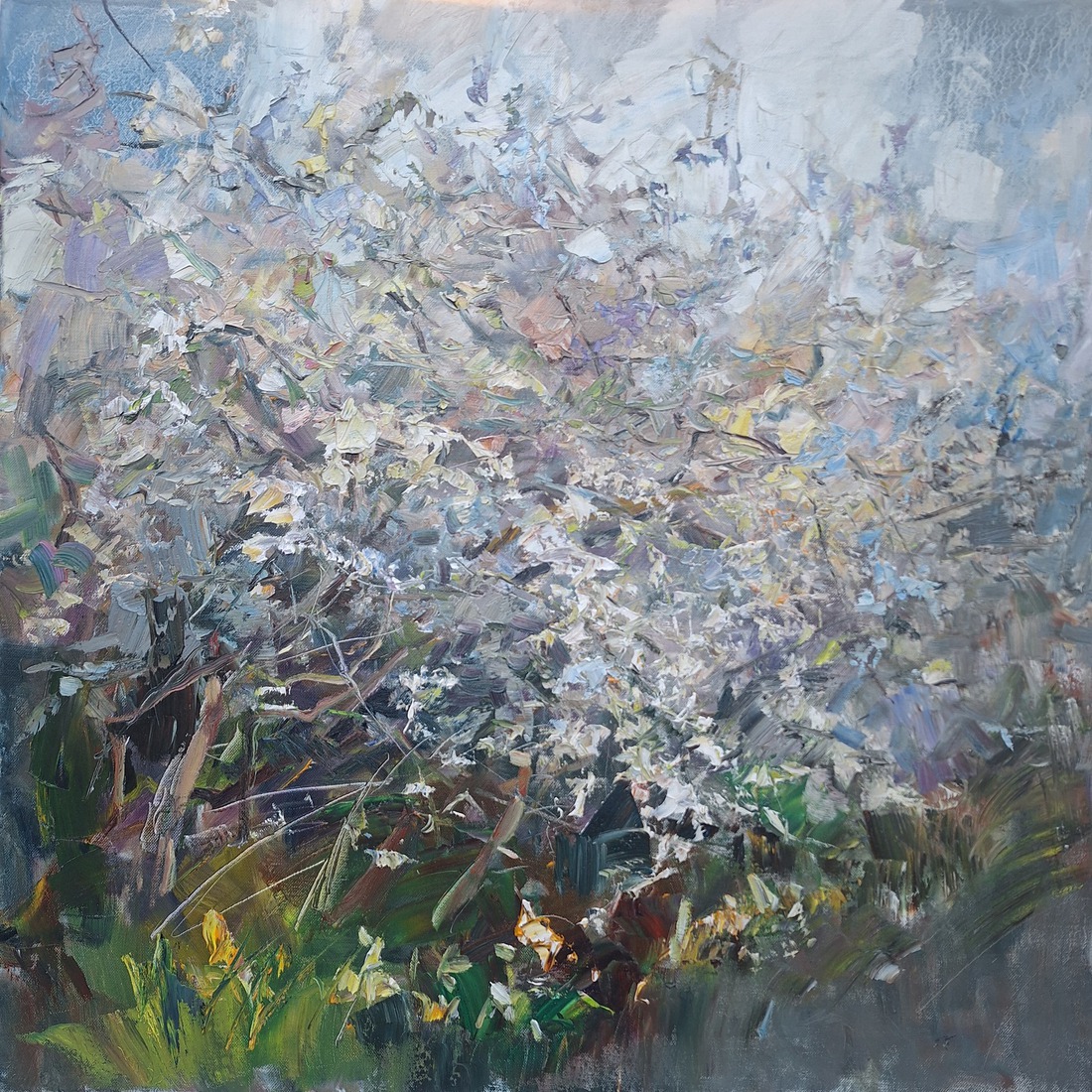 Vondel park in de lente