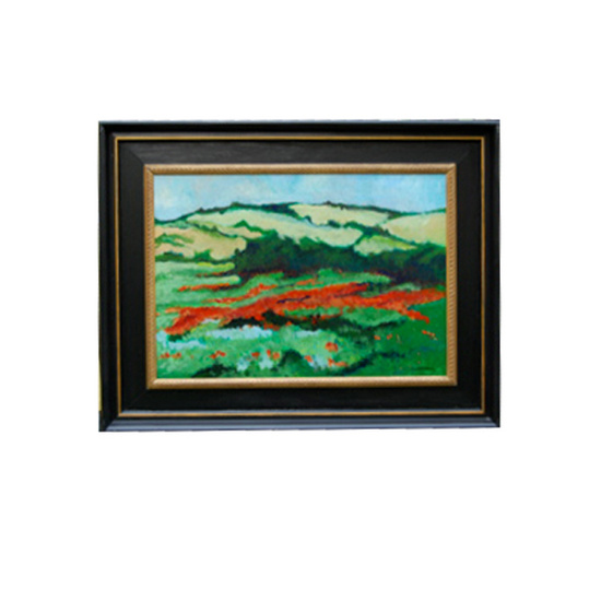 Papavers in landschap