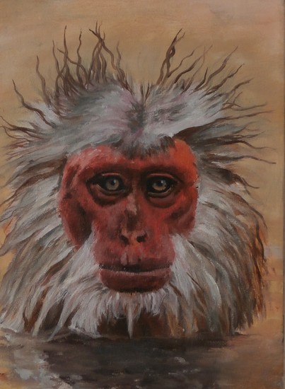 Don't you eyeball me