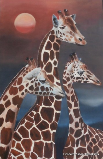 The all seeing eyes of africa