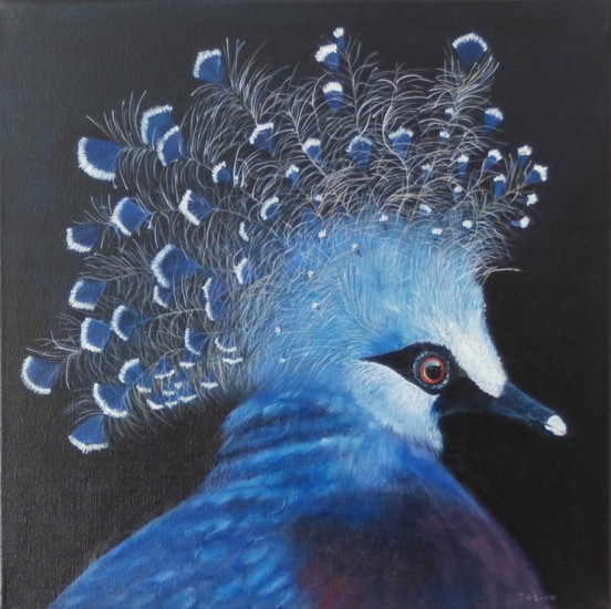Victoria Crowned Pigeon