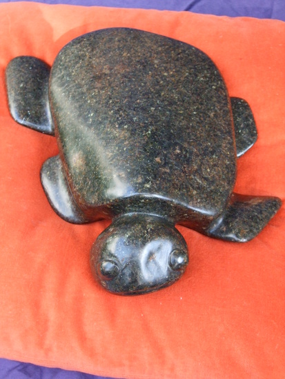 13. waterschildpad
