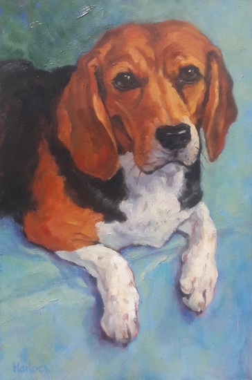 Beagle schilderij