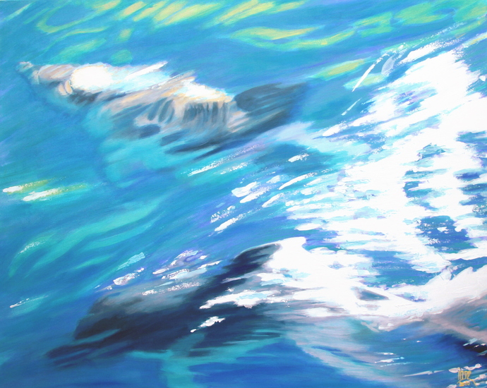 Dolfijnen 3