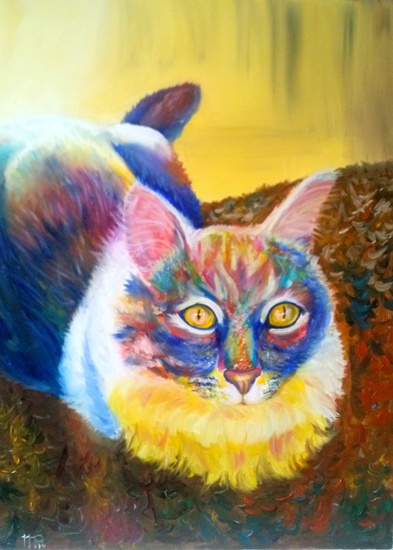 Makar de kat (opdracht)