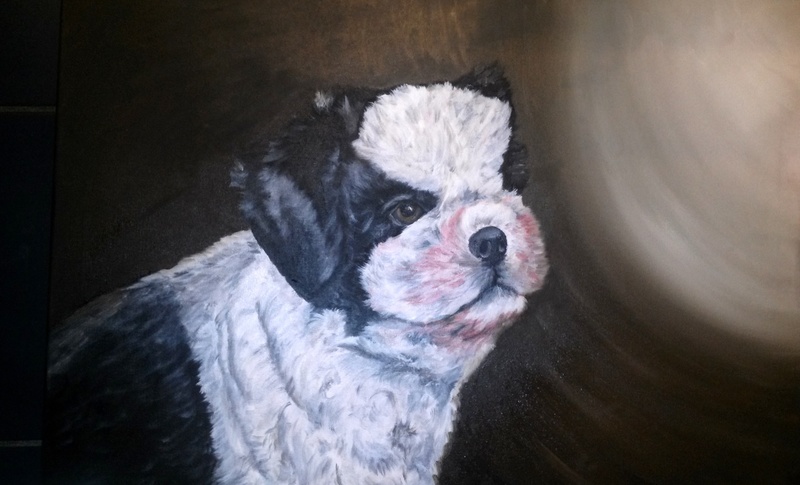 hondje beau (opdracht)