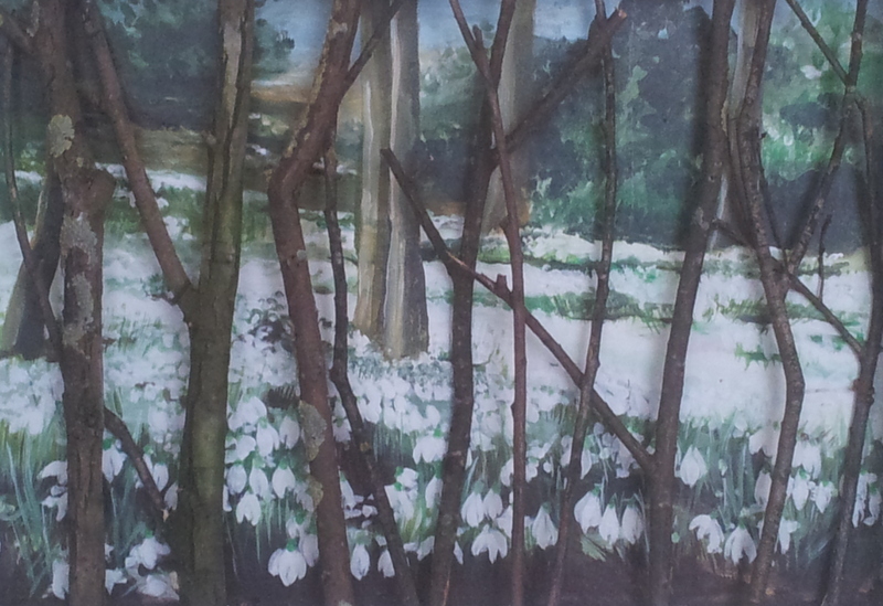 sneeuwklokjes in park