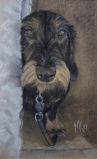 De Teckels van Cynthia