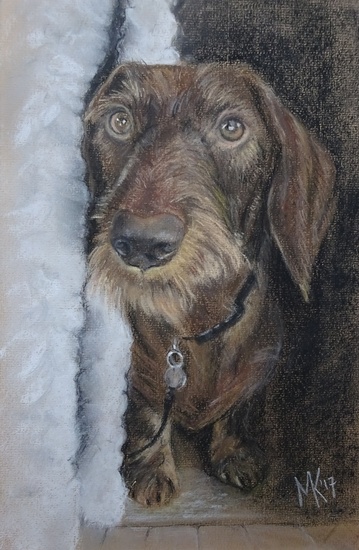 De Teckels van Cynthia