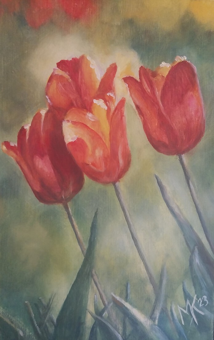 Tulpen 2