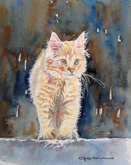 Rood-wit gestreepte poes