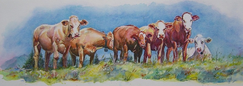 Genieten van het uitzicht