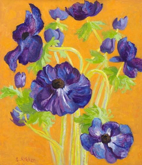 Anemone, dark-yellow