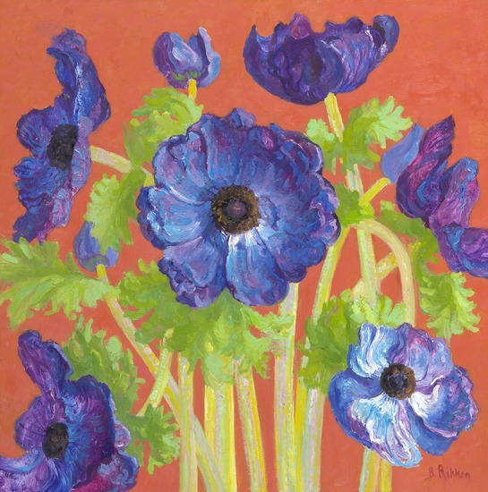 Anemones, red