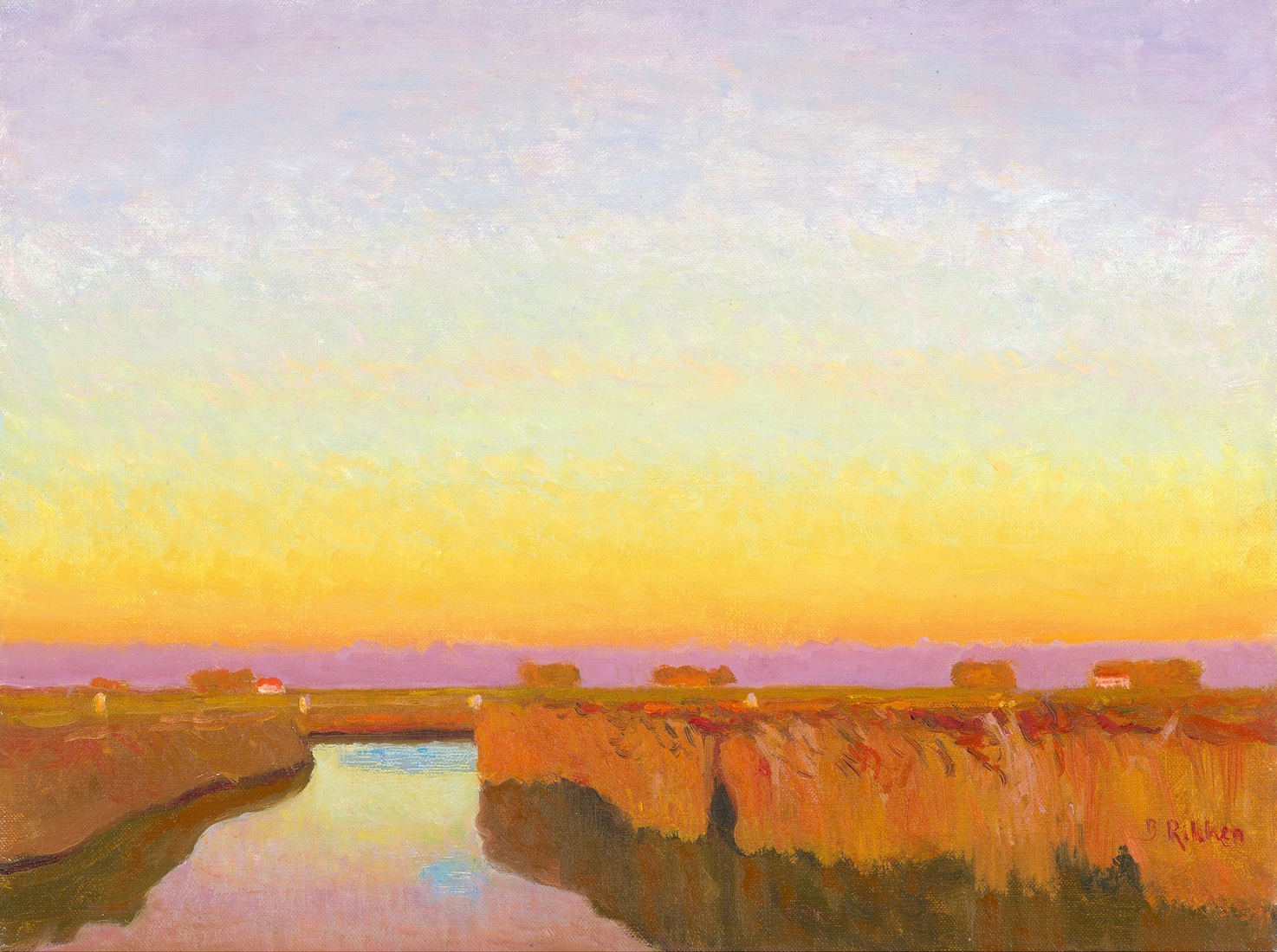 Garmerwolde, rietkraag in de avond