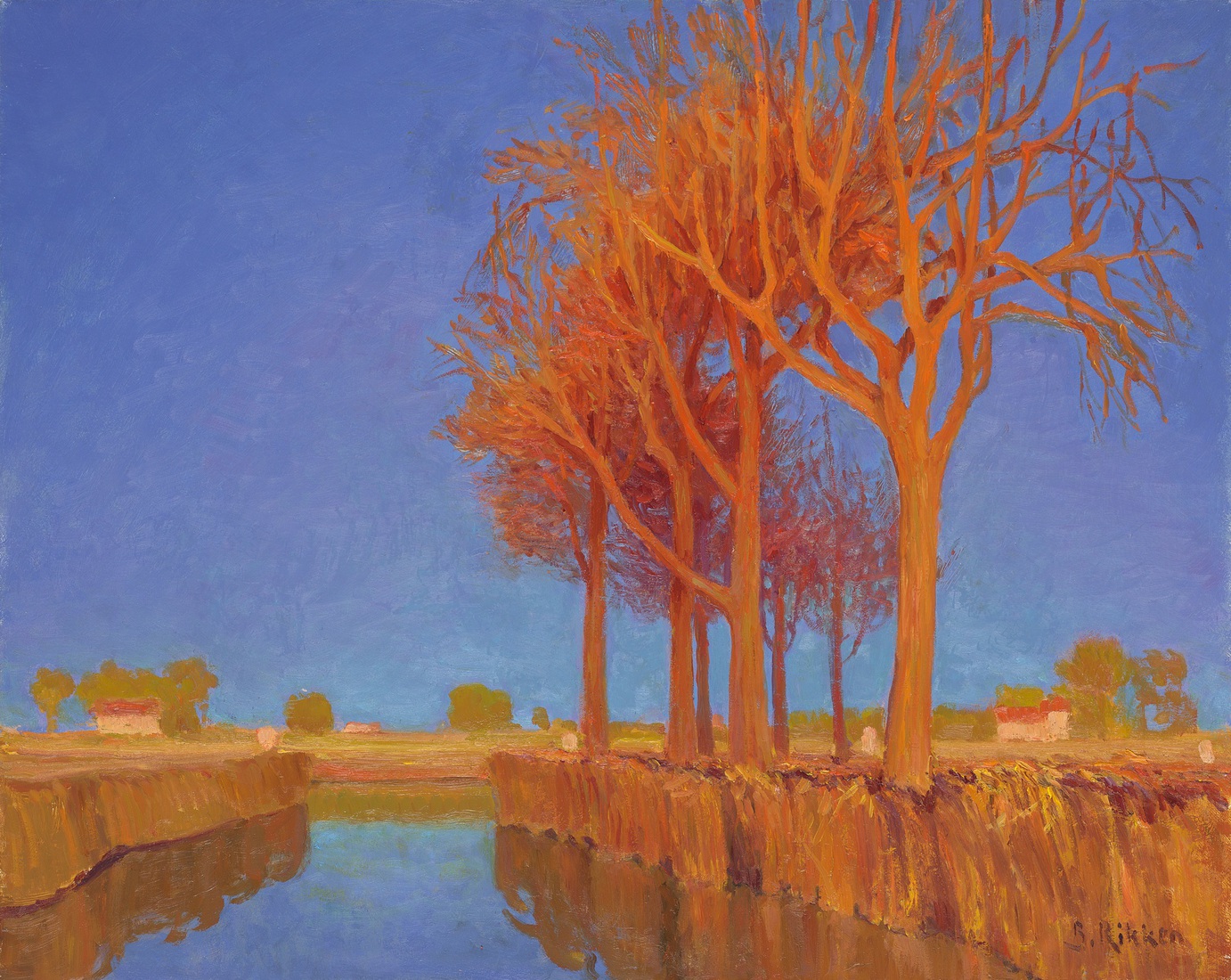 Bomen in  avondlicht