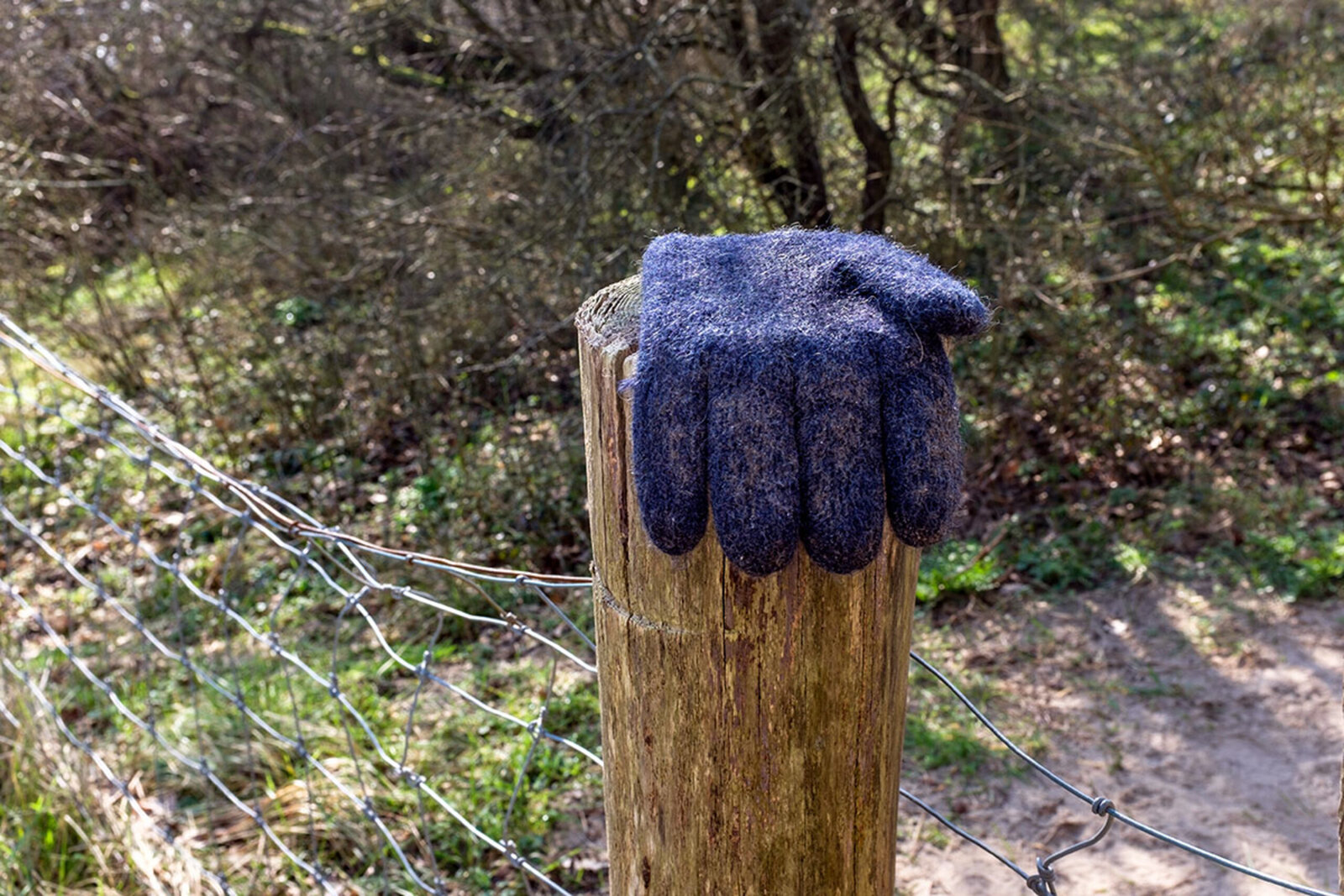 op paaltje in bos