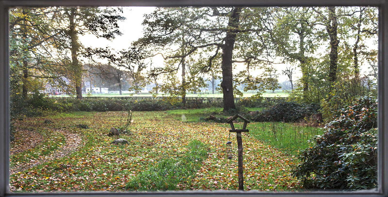 Herfst in Midlaren