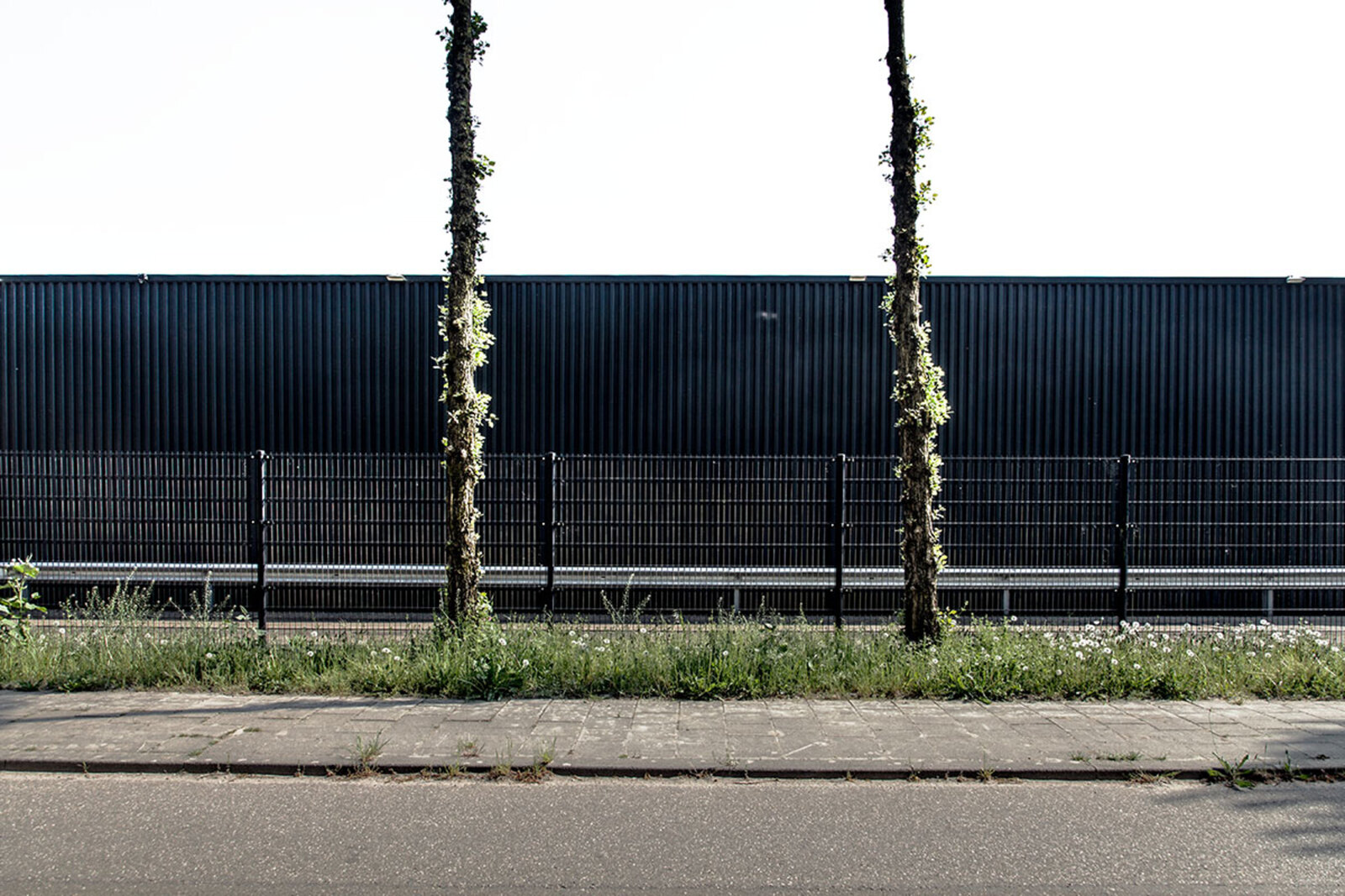 Industrieterrein, Den Dolder
