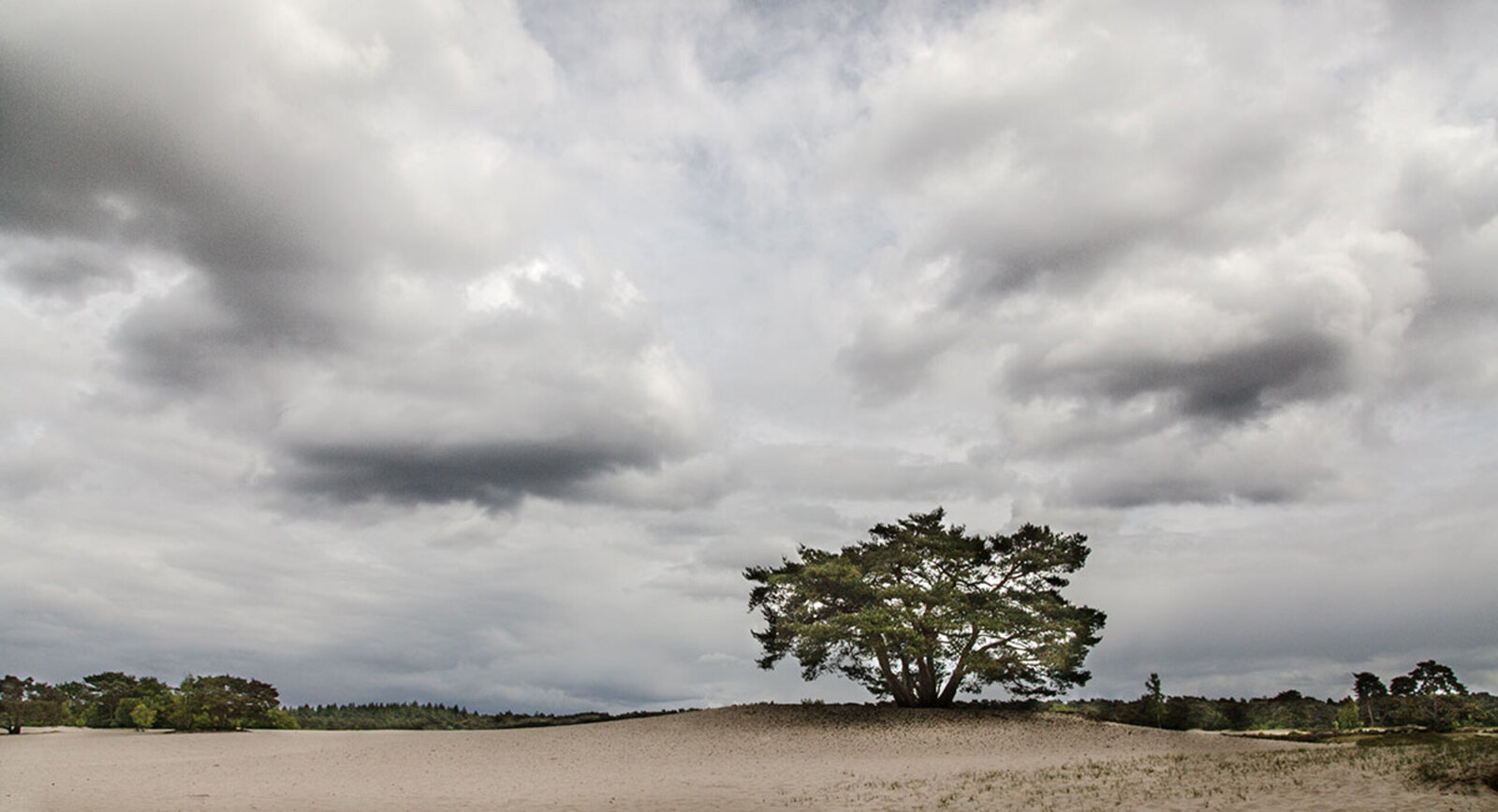 De Lange Duinen