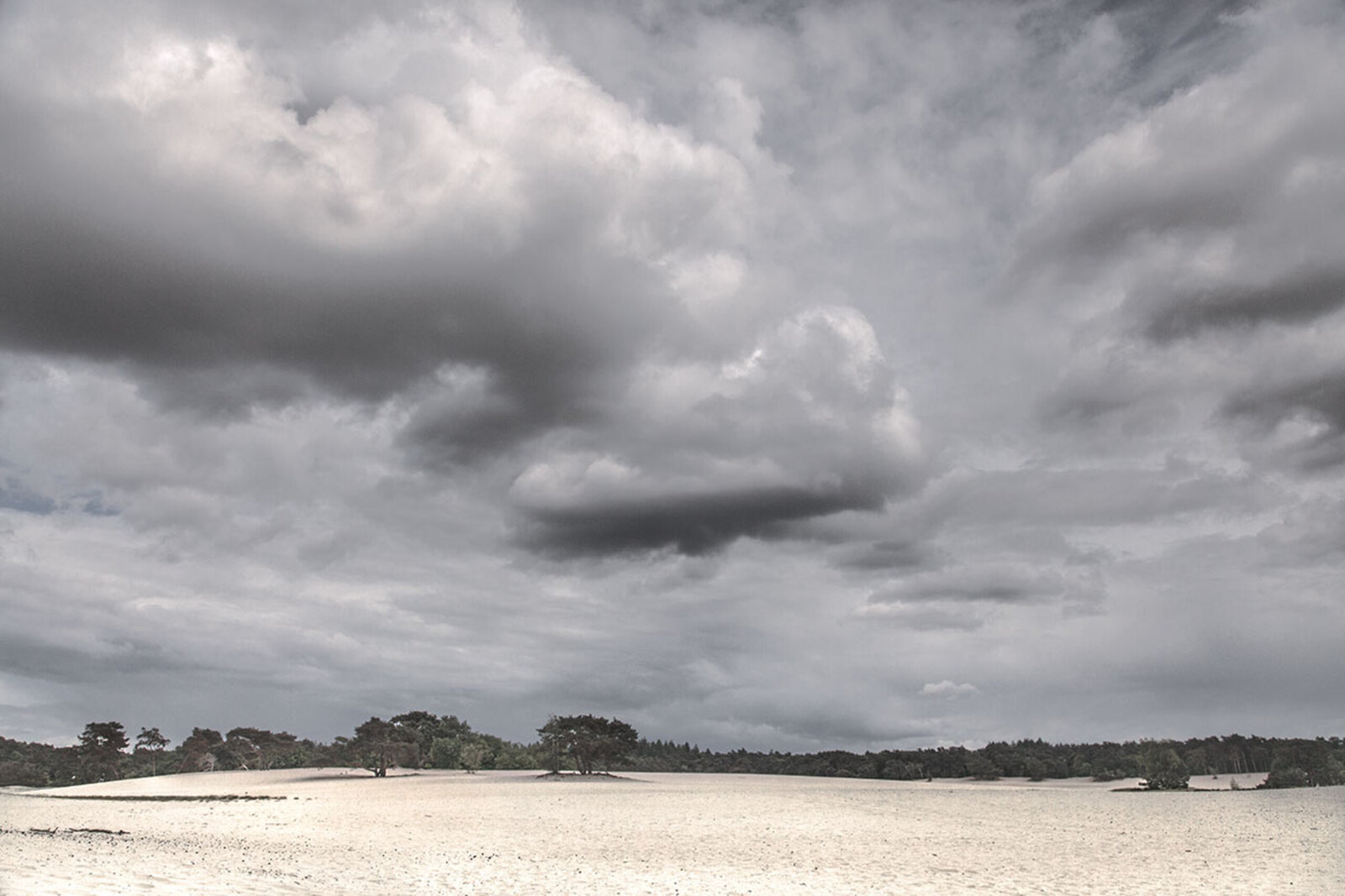 De Lange Duinen