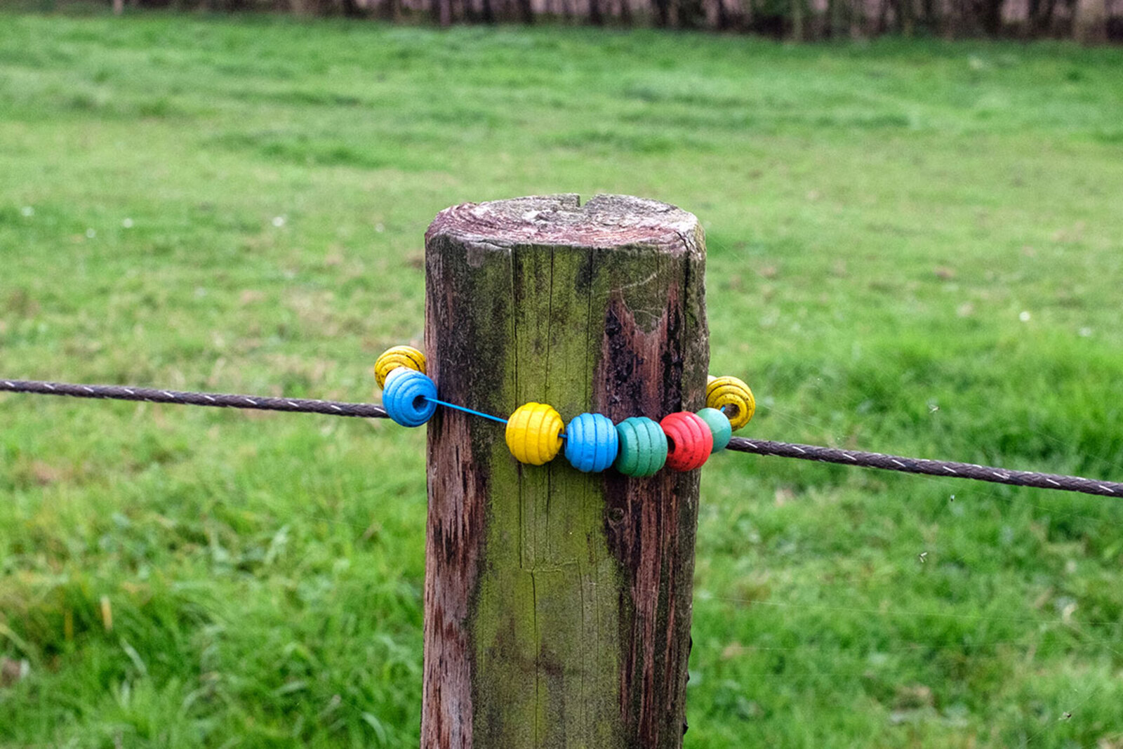 Kralenarmband