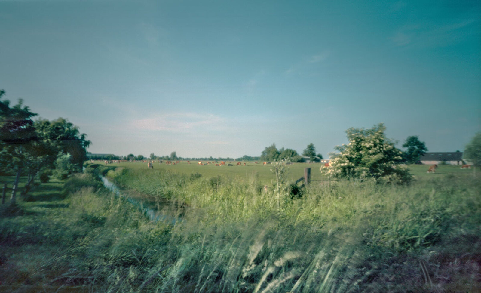 Bethunepolder