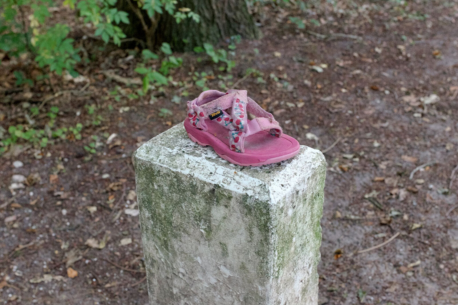 Soest