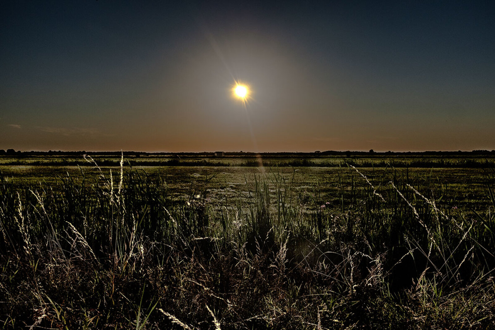 Polder bij zonsverduistering