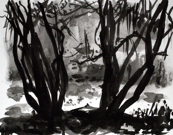 bomen met tegenlicht