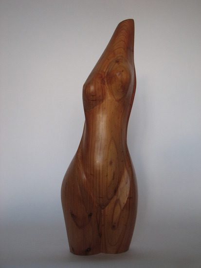 torso vrouw 3