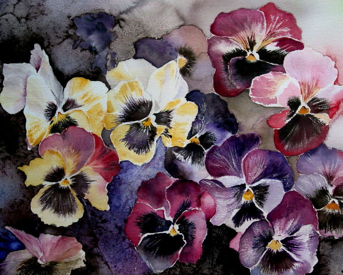 Winterviolets