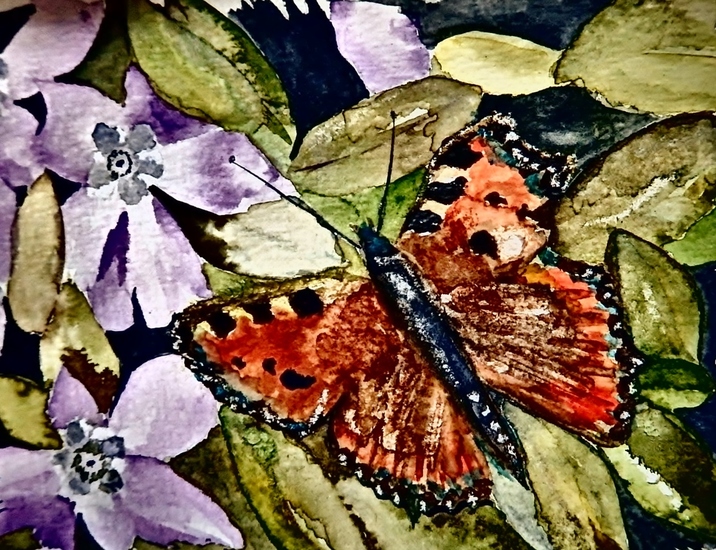 Butterfly