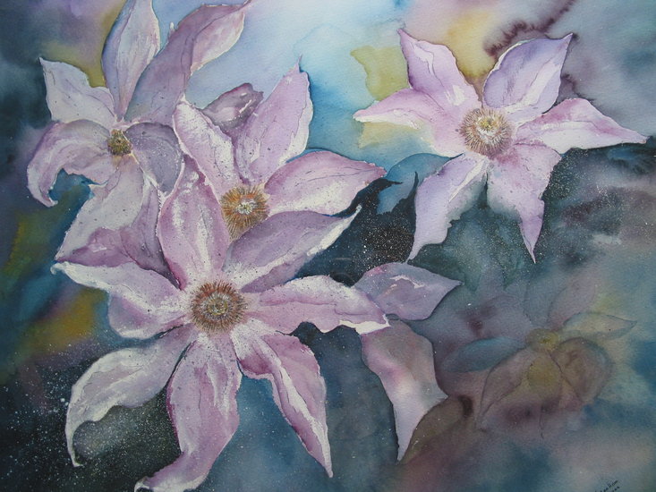 Clematis
