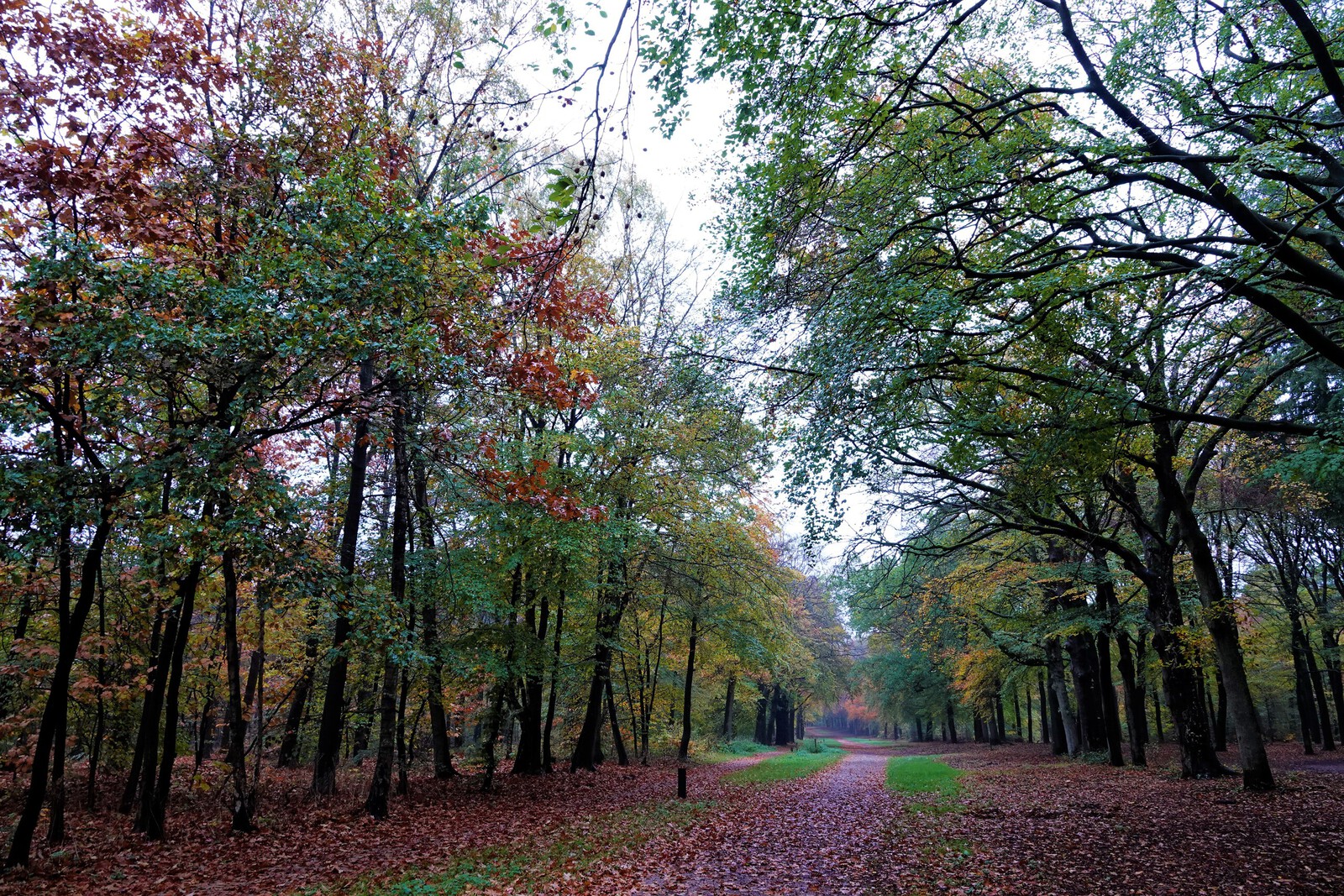 Fotografie Landschap