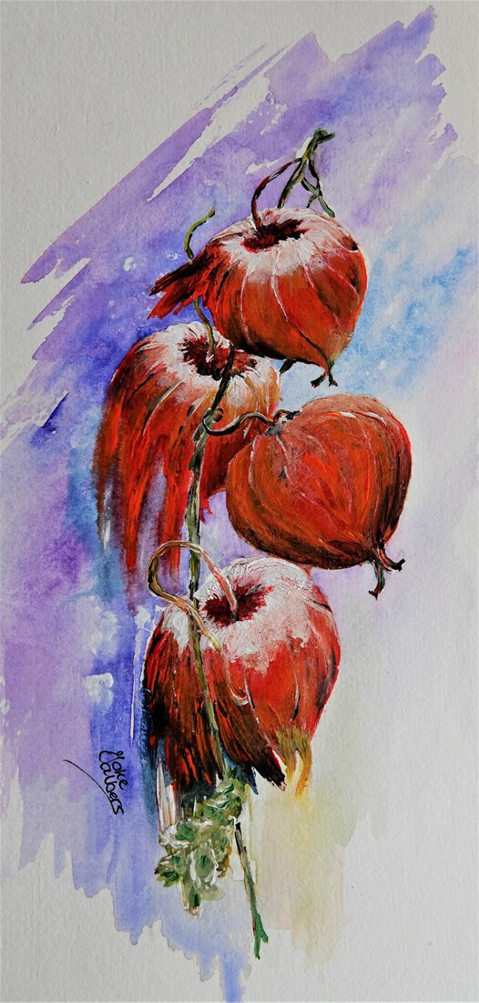 Lampionplant, Physalis alkekengi