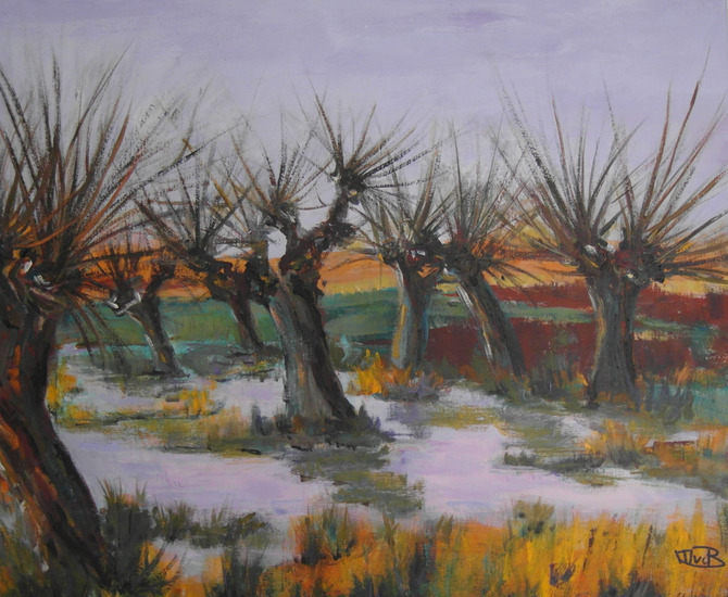 knotwilgen in het water