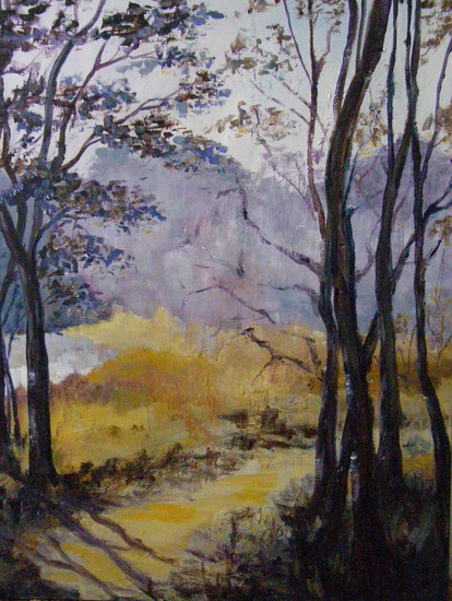 landschap Brabantse Kempen