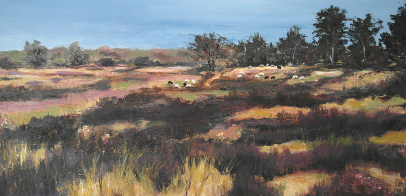 Drentse Hooglanden in de winter