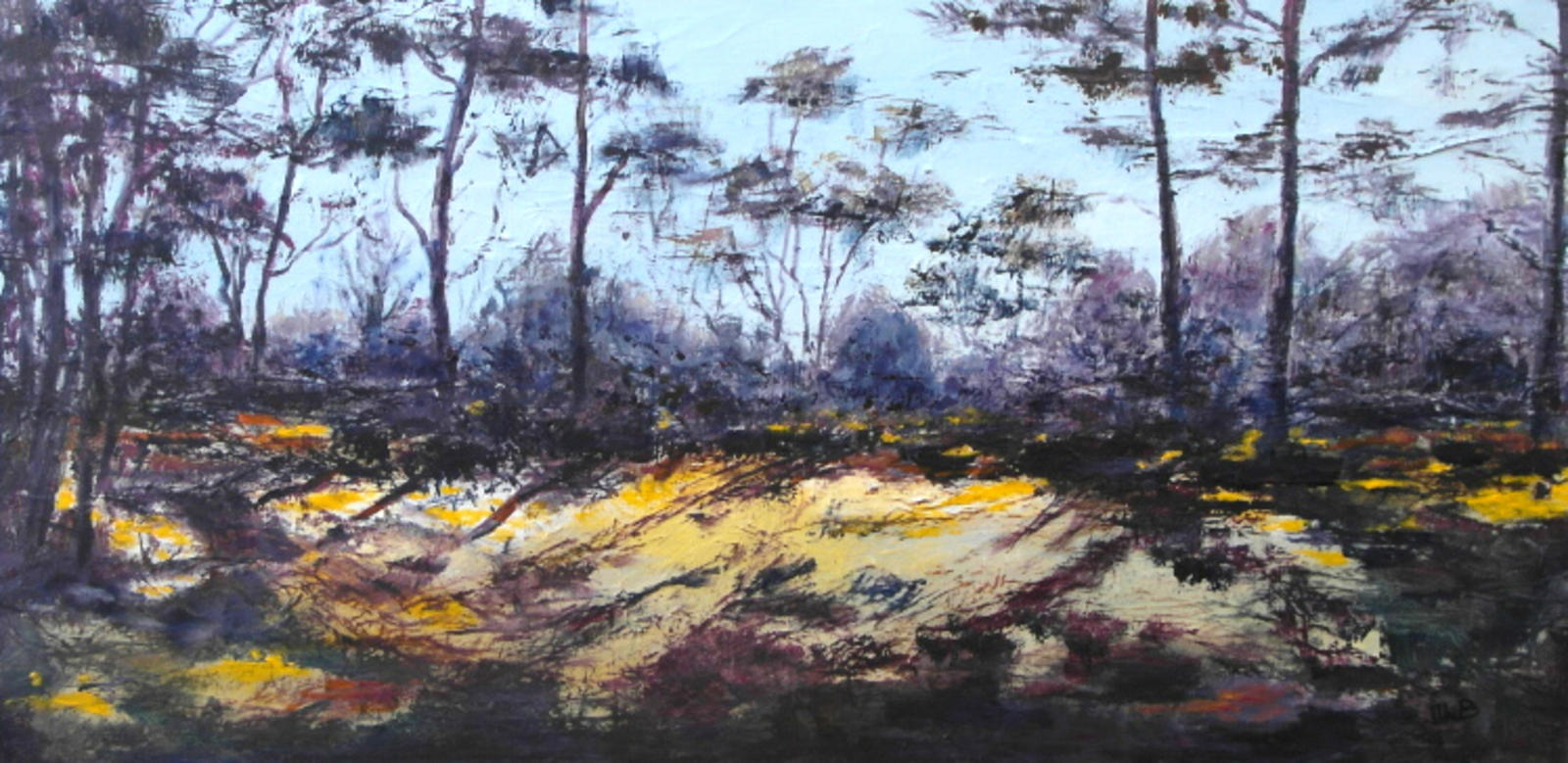 Ochtendlicht Drentse bossen