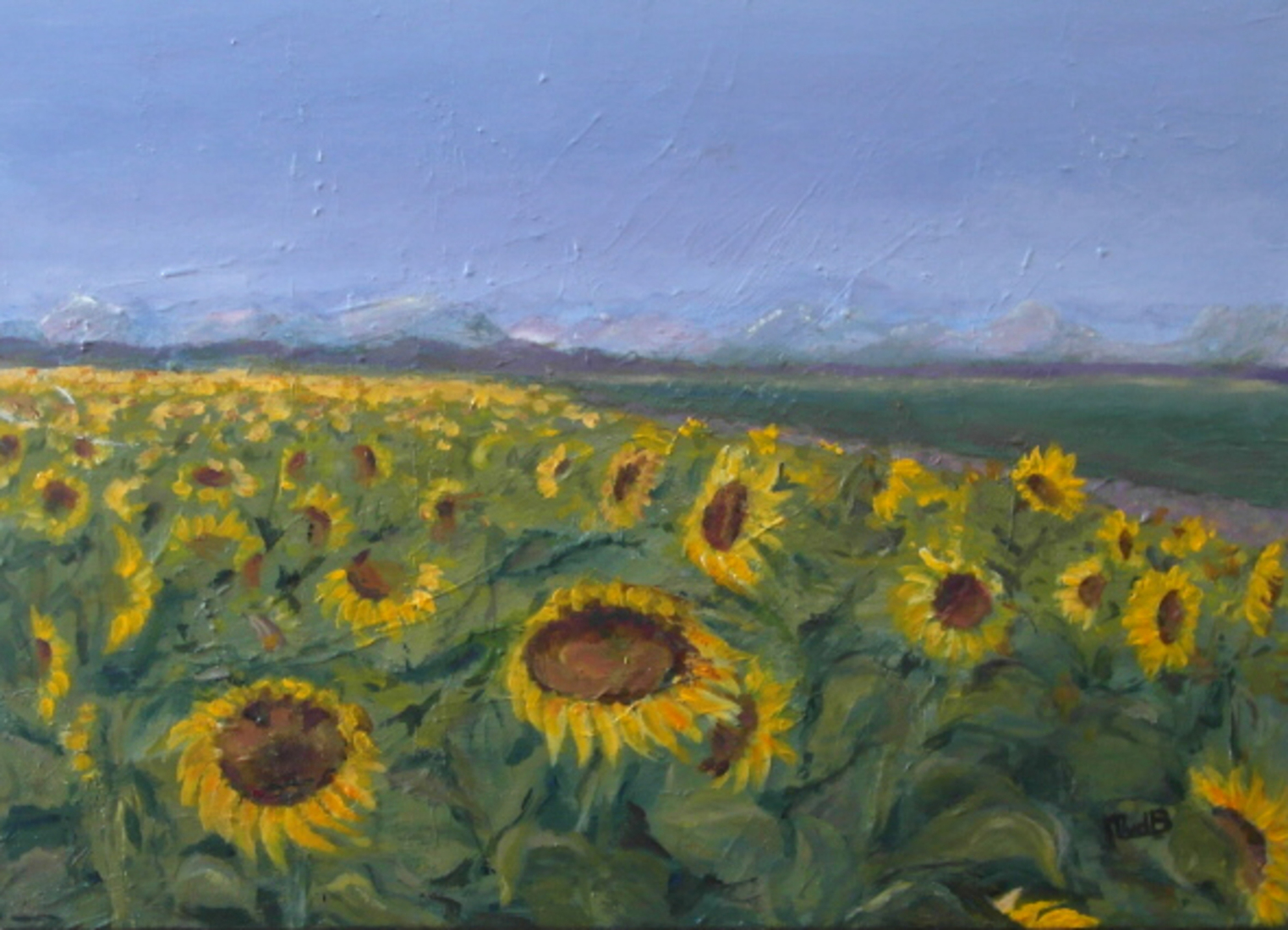 landschap zonnebloemen 