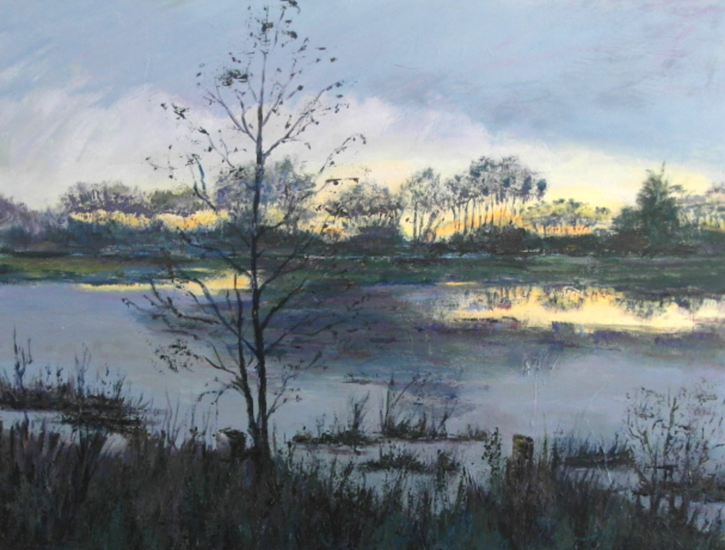 avondzon op ijsbaan Bunnik