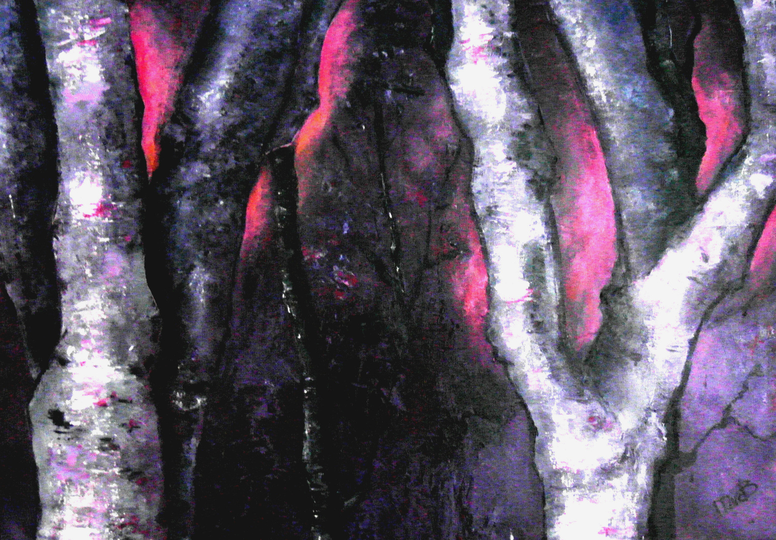 berken in avondlicht