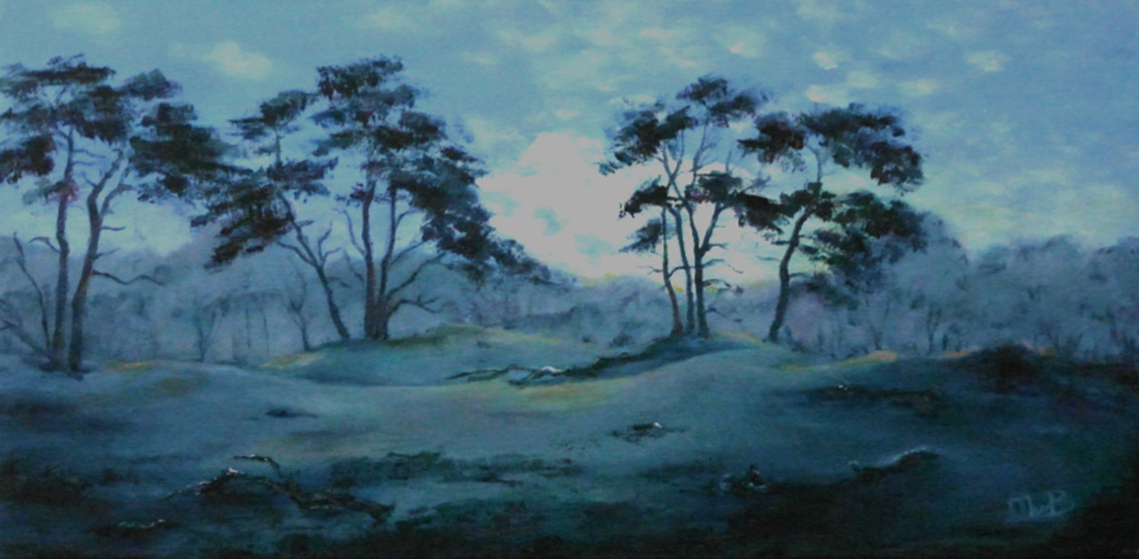 avondlandschap Soester duinen