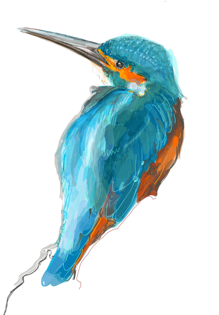 IJsvogel no. 2
