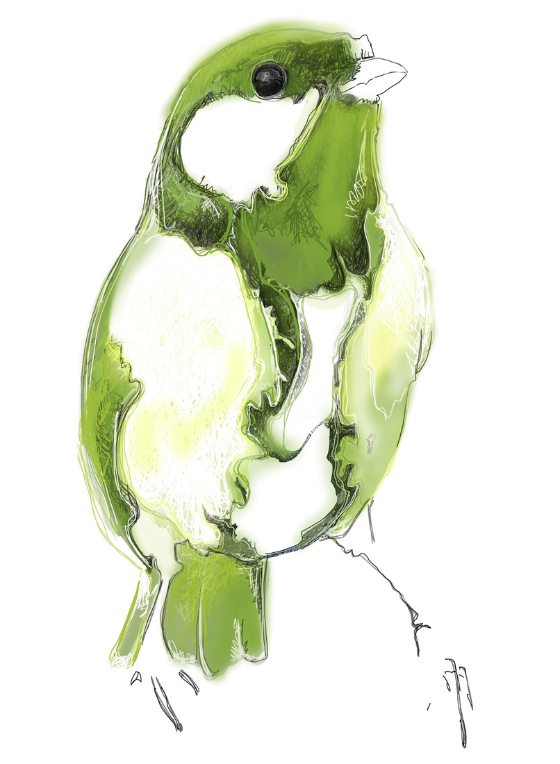 Koolmees no.1