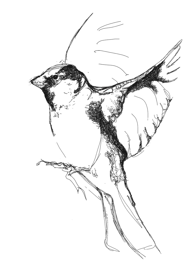 Mus no. 3
