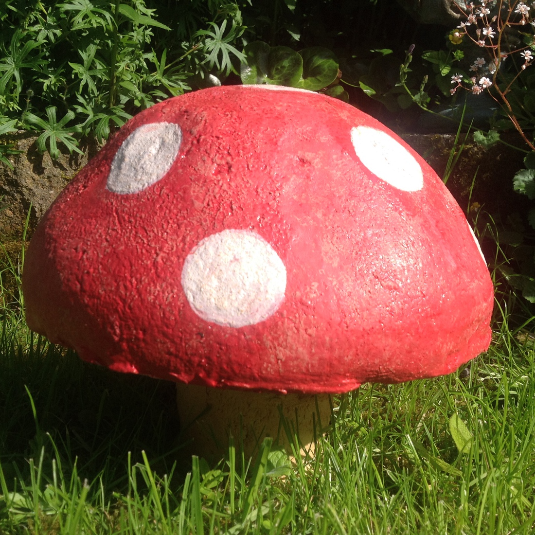 Paddestoel, rood met witte stippen