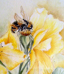 Diverse aquarellen met als onderwerp bloemen of fruit