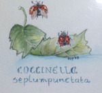 Aquarelen en acrylschilderijen van dieren groot en klein